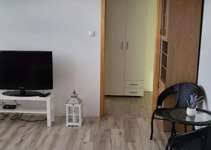 Apartament Busko-Zdroj - Franio